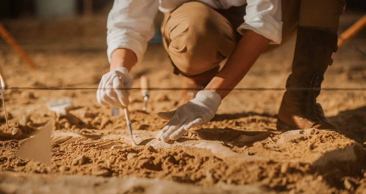 13 bin yillik mamutlarin dnasi bilim insanlarini sasirtti rpE32tYI