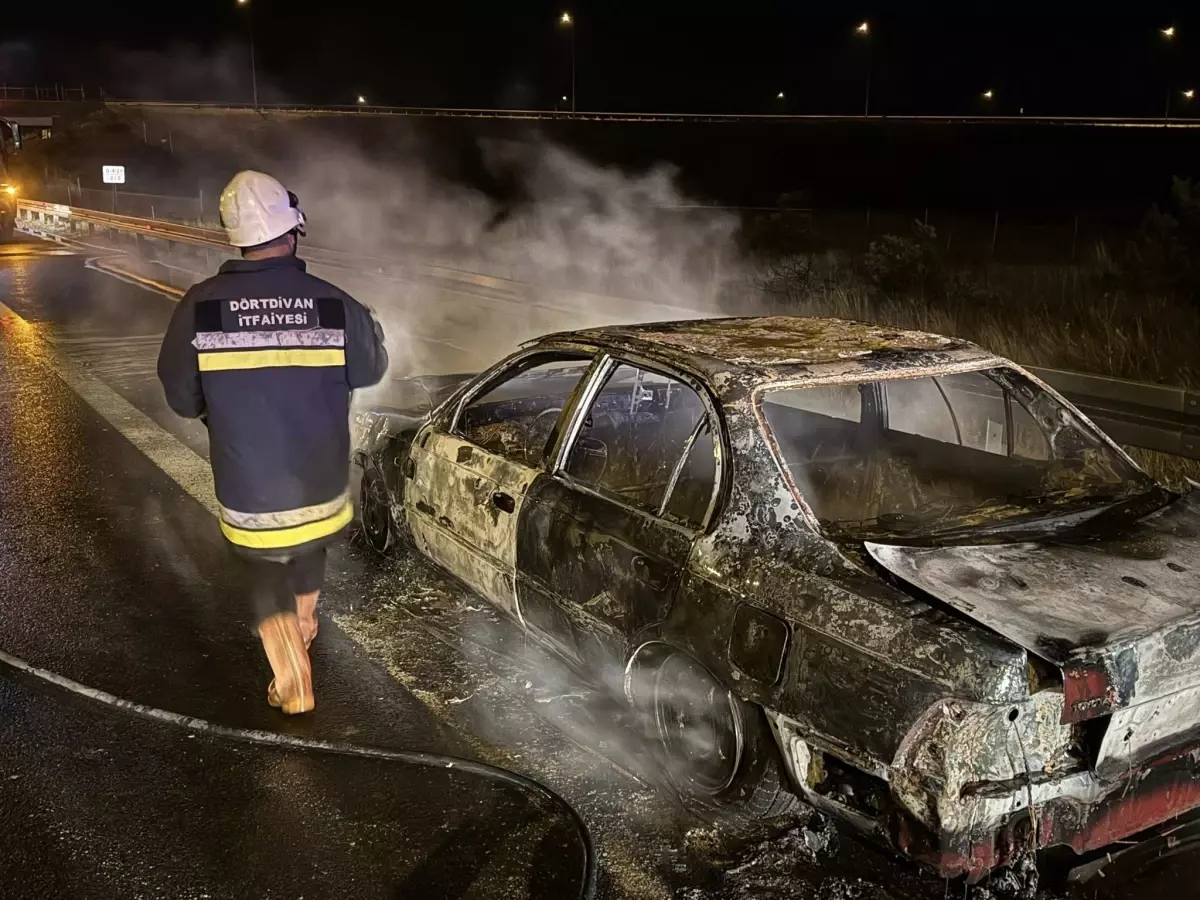 boluda seyir halindeki otomobil alev aldi udqN4nDO.jpg