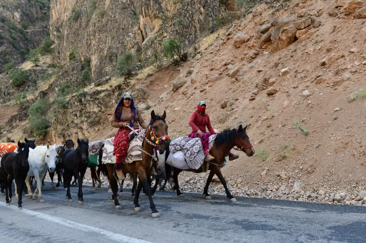 gocerler yaz mevsiminin ardindan donus yolculuguna cikti vVfGghAU.jpg