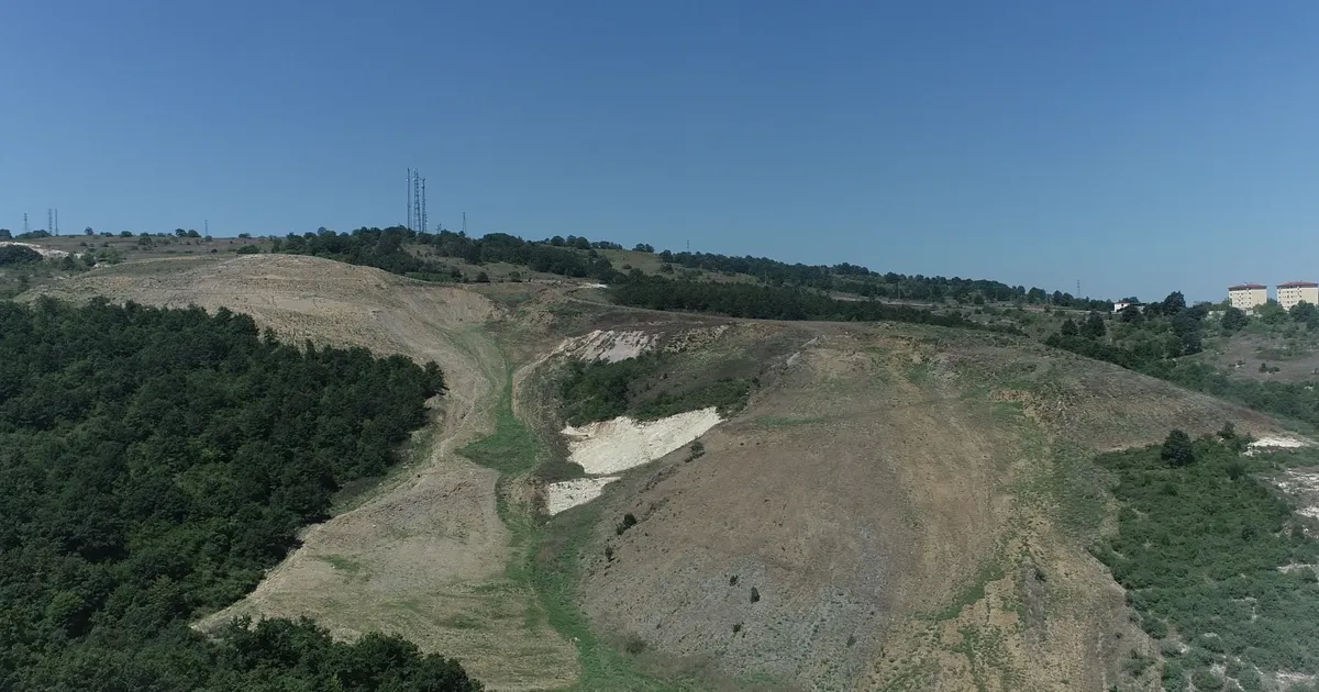 kocaelide kandira akcakeseye 4 bin 500 agaclik dogal orman 9EKfkgUa.webp