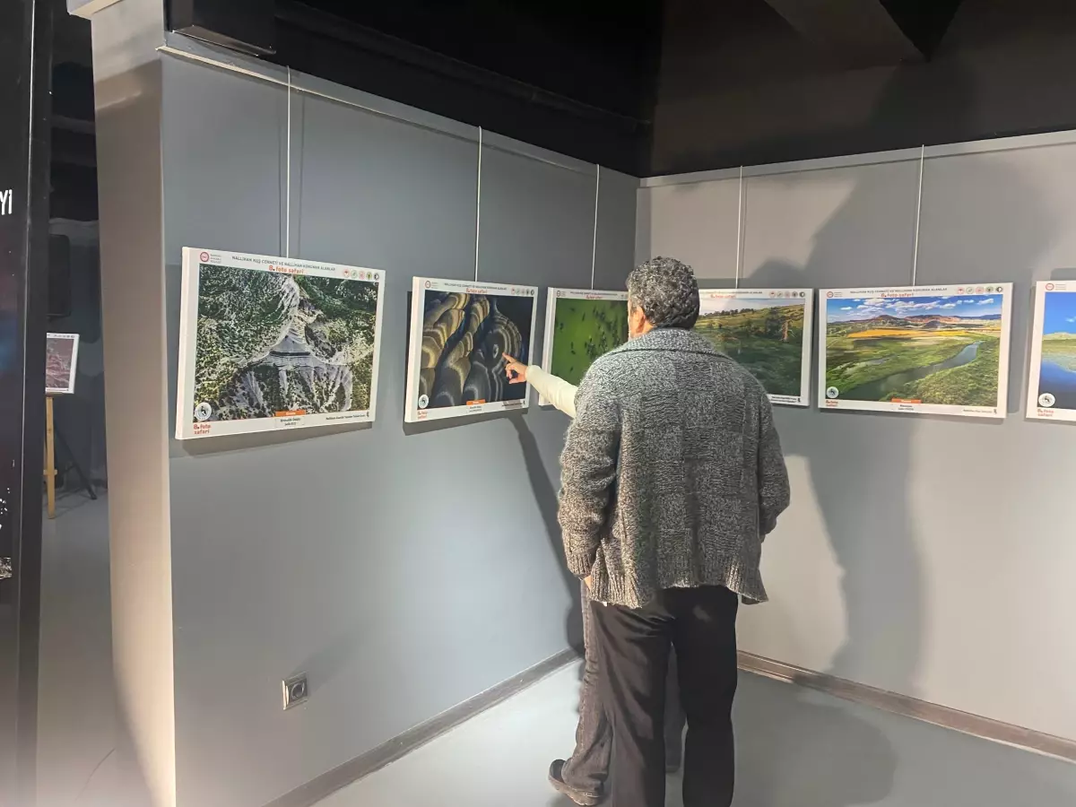 nallihan kus cennetinde foto safari sergisi acildi Aq3kO868