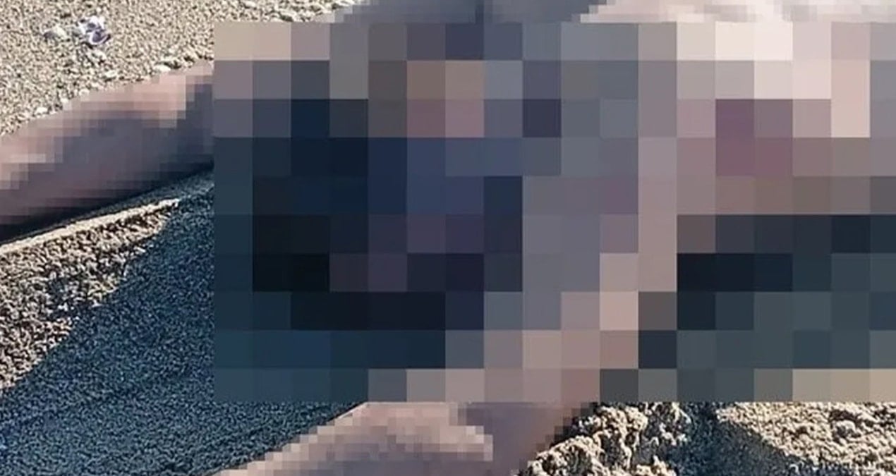 sakaryada vatandaslar fark edip gordu genc erkegin cansiz bedeni bulundu wTOBuljO