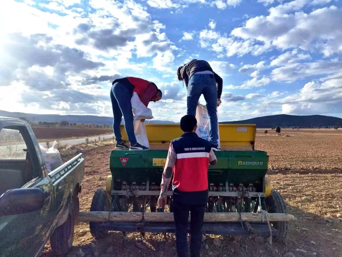 cavdarhisarda tohum dagitimi ve ekim calismalari basladi FHxuJy8F.jpg