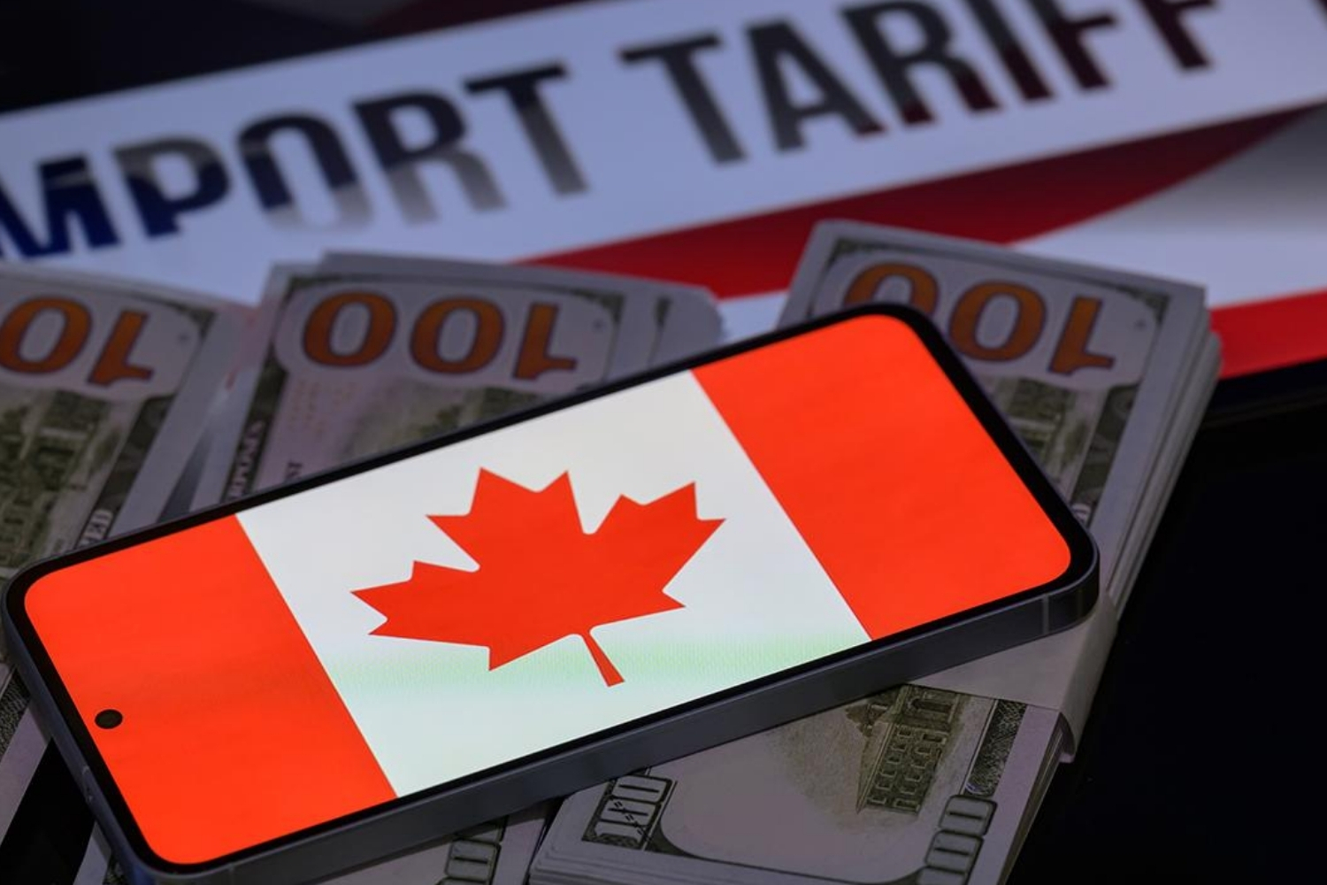 kanada abdnin tarifeleriyle mucadelede 141 milyar dolarlik harcamayi ongoren butce tasarisi sundu E8AbgmRE.jpg